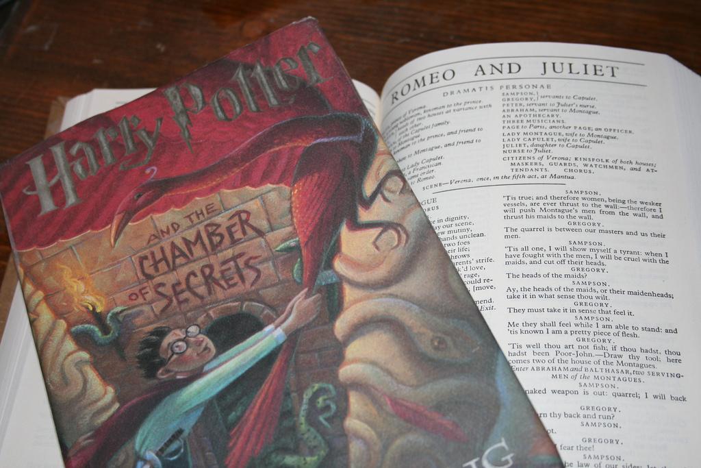 n the future, the Harry Potter books may be the new classics, like what Romeo and Juliet and the Great Gatsby are now. (Illustration by Craig Calefate/The Observer)
