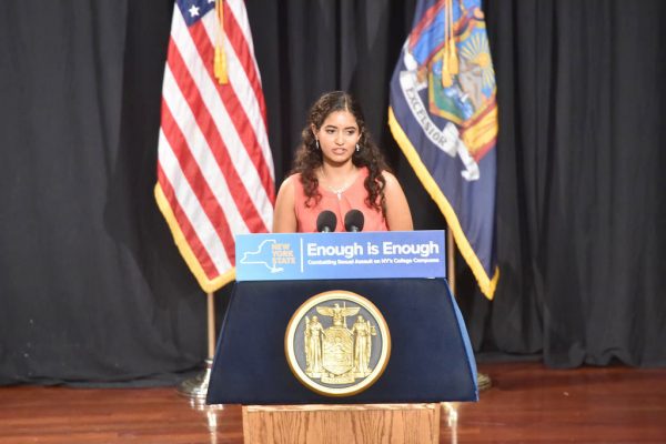 FCRH coalition leader Sobrin speaks on the Enough is Enough policy. (PHOTO COURTESY OF THE OFFICE OF THE GOVERNOR OF NY)