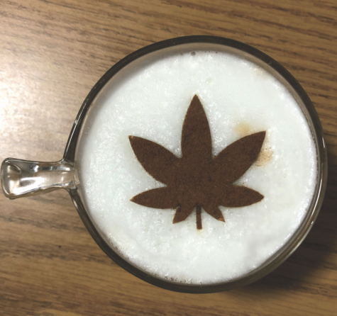 What’s the Hype with CBD?
