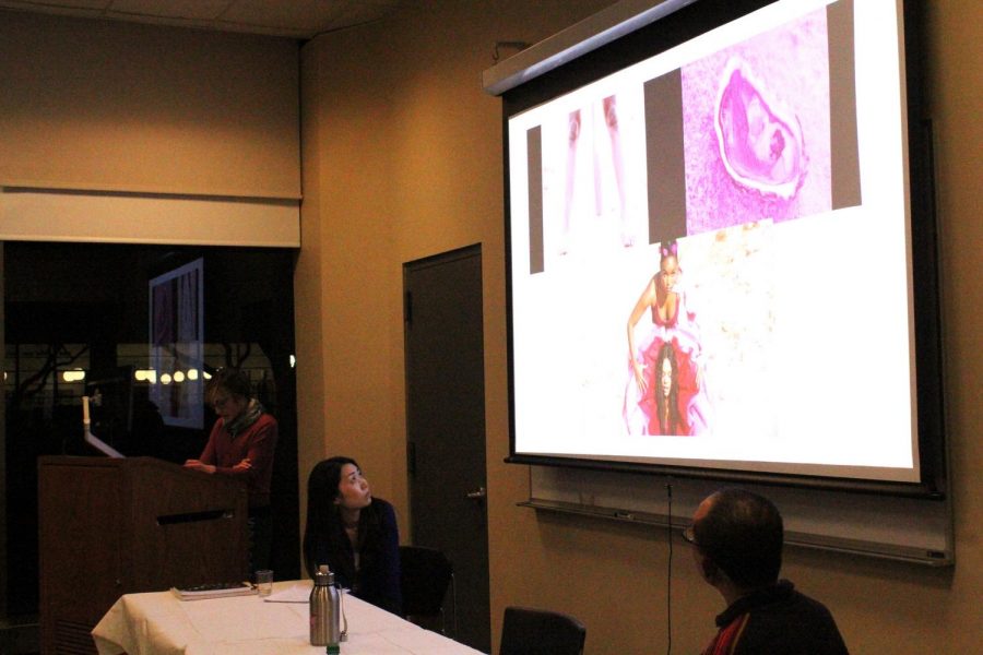 The panel at WGSSs International Womens Day event analyzed the visuals for Janelle Monáes feminist anthem, PYNK.