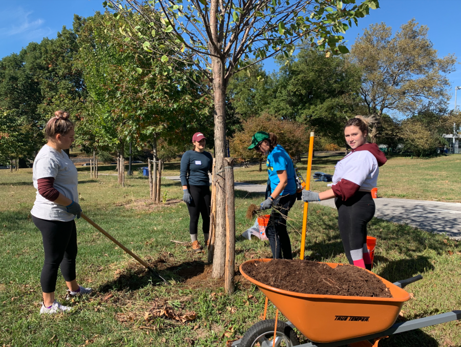 Students in the Bronx on IW 2019 Day of Service with  Blooming, a community group that works on upkeep in parks in the area.