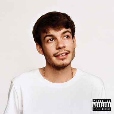 While Rex Orange Countys sophomore effort isnt perfect, it shows great creativity as he continues to grow as an artist. 