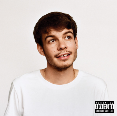 While Rex Orange County's sophomore effort isn't perfect, it shows great creativity as he continues to grow as an artist. 