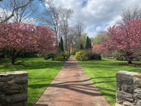 Empty Rose Hill Campus