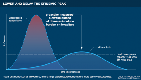 The curve plots the number of new cases against the course of the coronavirus outbreak and demonstrates the potential outcome with or without the implementation of protective measures versus without.
