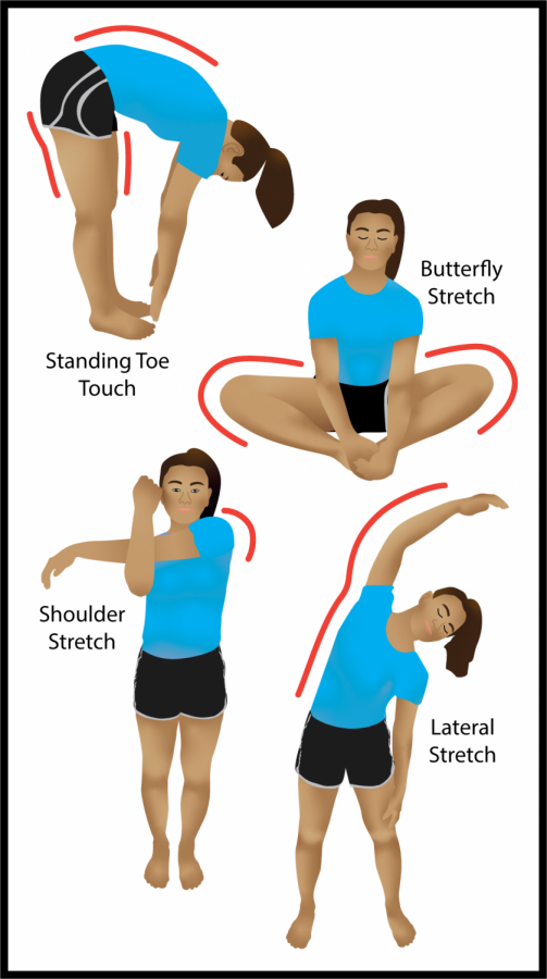 stretch graphic online