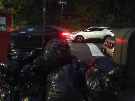 Trash bags on a New York curb