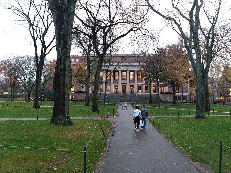 harvard campus, two students walking on sidewalk toward building in between trees and grass