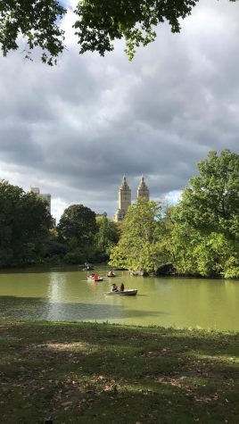 Pond in central park, one of the parks described