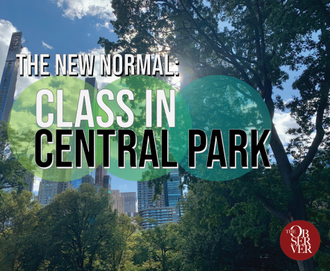photo of trees in central park with sky and skyscrapers in background, with text on top that says The New Normal - Class in Central Park 