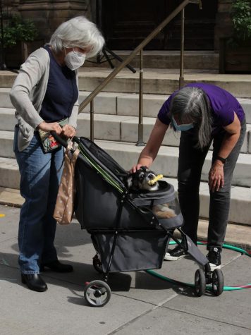 person bending over to pet a dog in a stroller at the blessing of the animals ceremony
