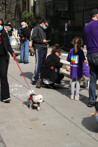 a white dog on a red leash behind a line of people at the animal blessing