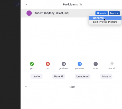 screenshot of zoom showing a pointer on the rename button, where students can change their pronouns