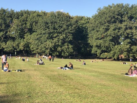 people sitting on green meadow in central park, one of its many open spaces