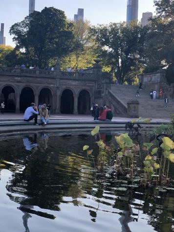 people sitting on the rim of a fountain near green spaces in central park