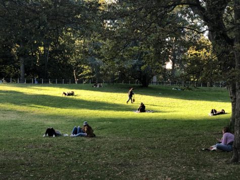 people sitting on shady green meadow in central park, one of its green spaces