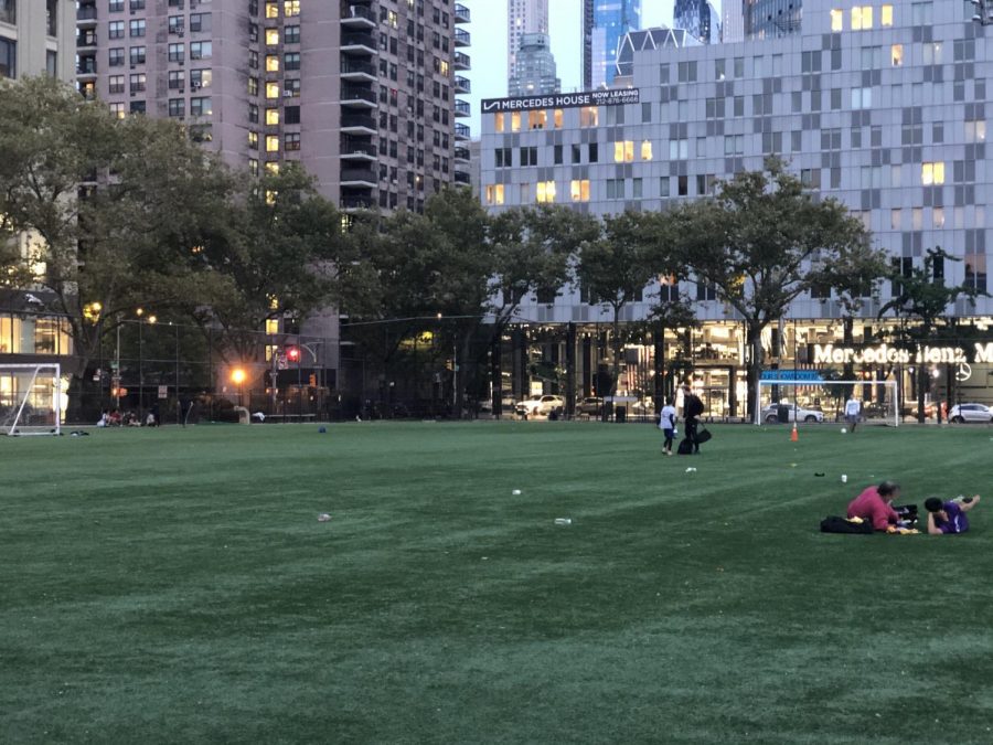 picture of green spaces in DeWitt Clinton Park