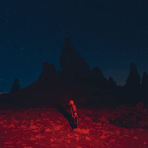 the Punisher album cover with Phoebe Bridgers staring up at the night sky