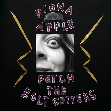 The Fetch the Bolt Cutters album cover