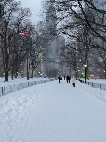 a snow covered path in Central Park with midtown buildings in the background
