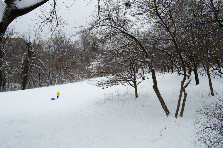 a child drags a sled up a snowy hill in the park