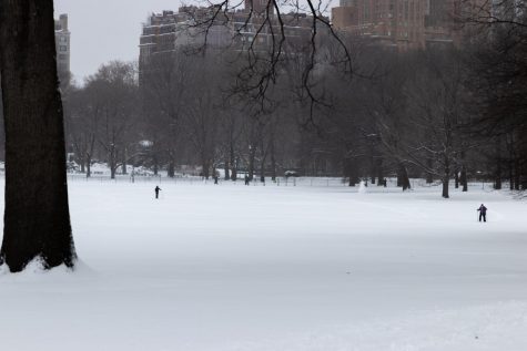 a blanket of snow covers a meadow in Central Park