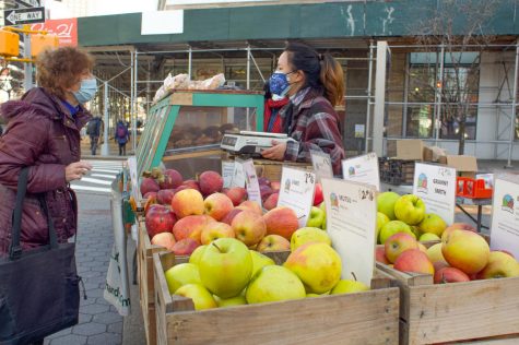 woman looking at apples in boxes at an outdoor spring farmer's market