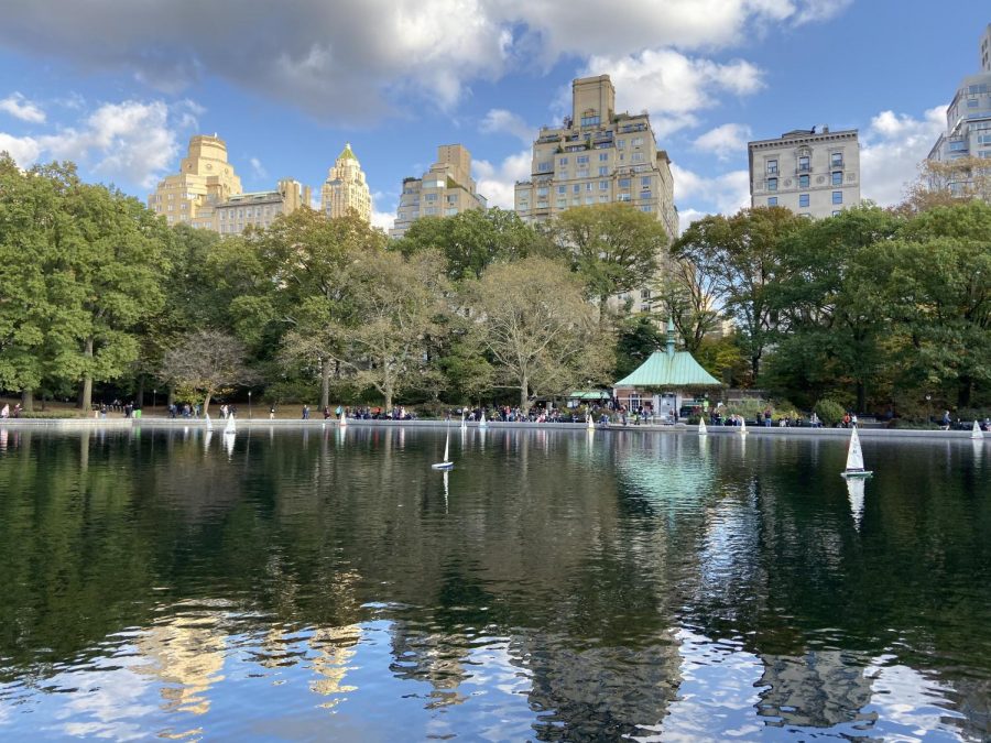 Small sailboats on a pond in central park