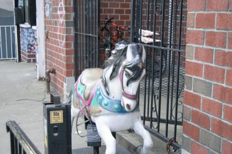 horse in front of a gate in jackson heights