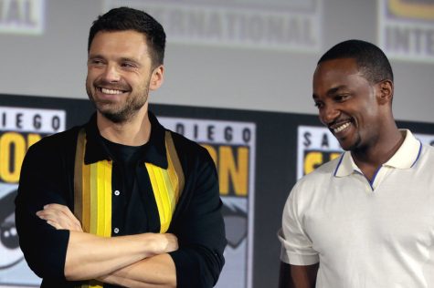 lead actors from the falcon and the winter soldier standing next to each other