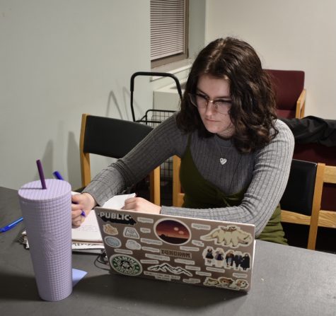 A student works on their laptop.