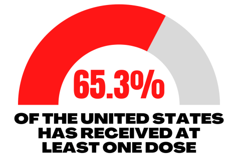 65.3% of the united states citizens have received at least one dose