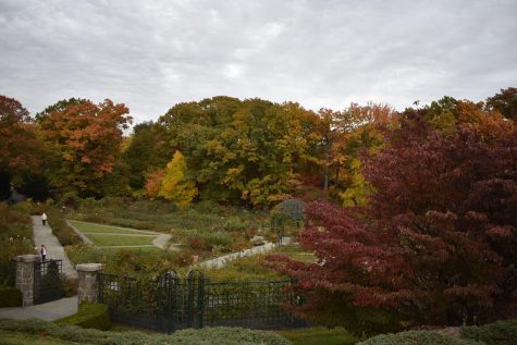 fall foliage in the nyc botanical gardens