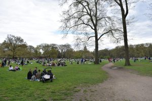 central park and other parks with people sitting inside