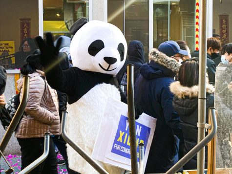 person dressed as a panda at lunar new year celebration