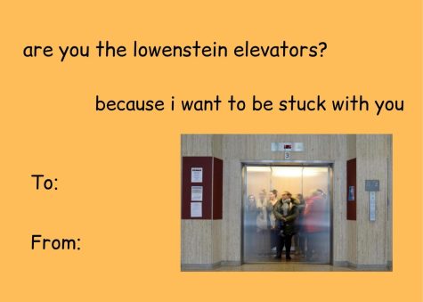 ARE YOU THE LOWENSTEIN ELEVATORS because I wanna be stuck with you