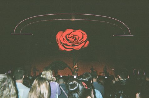 rose behind musgraves on the screen