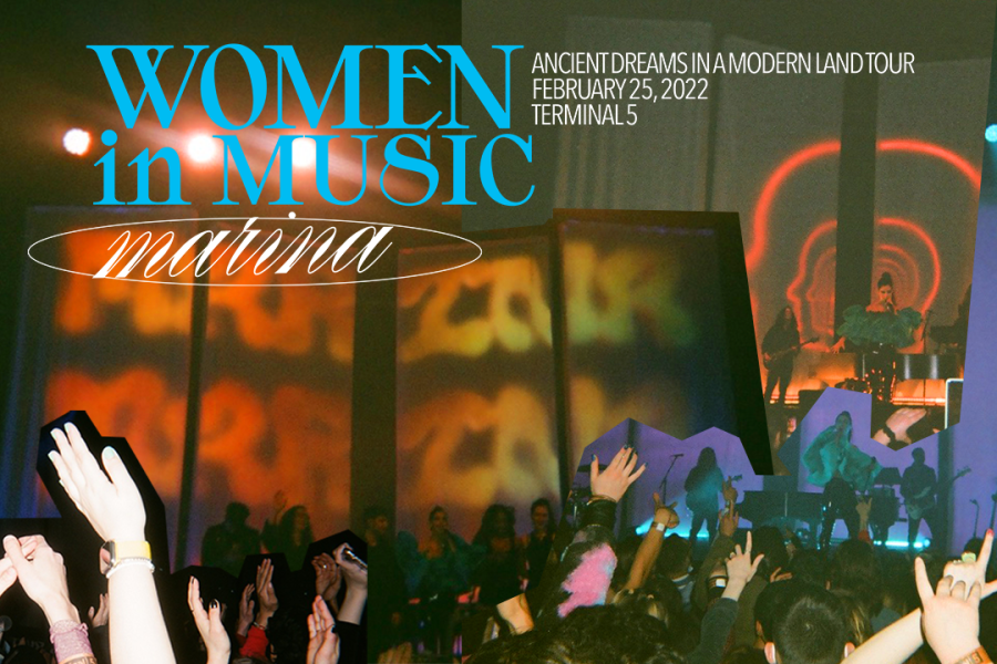 marina and the diamonds graphic women in music