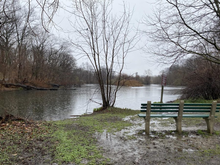 Parkway Oval Park