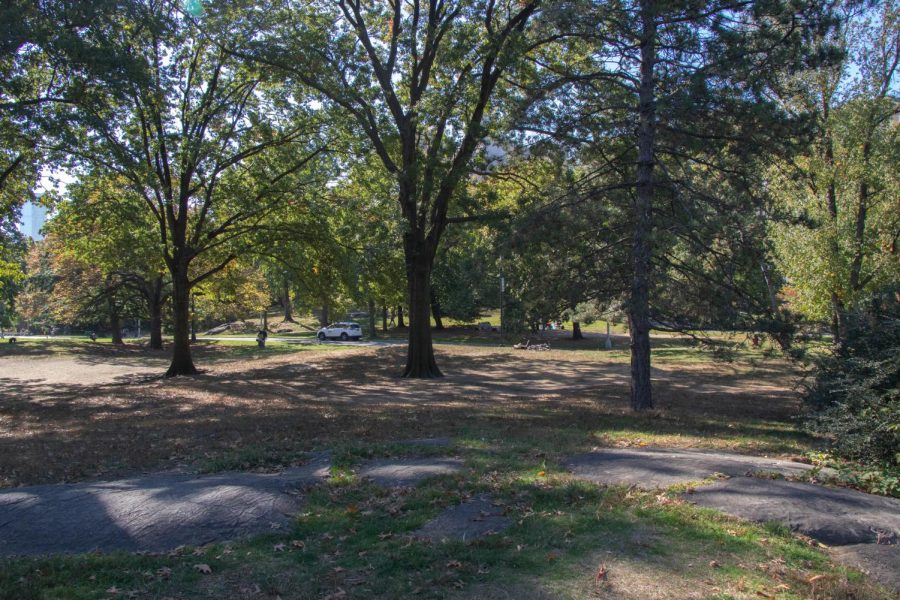 This field was once occupied by the flourishing Seneca Village community where Black Americans owned homes and were able to escape the harsh treatment they faced in everyday life. 