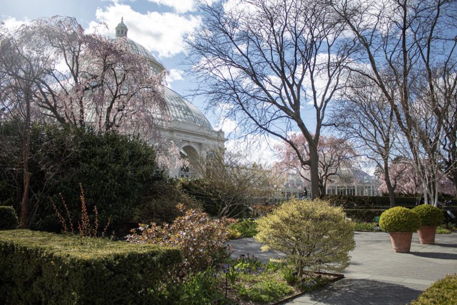 The Enid A. Haupt Conservatory is one of the notable centerpieces of the NYBG and was inspired by the Royal Botanical Gardens in the United Kingdom. 