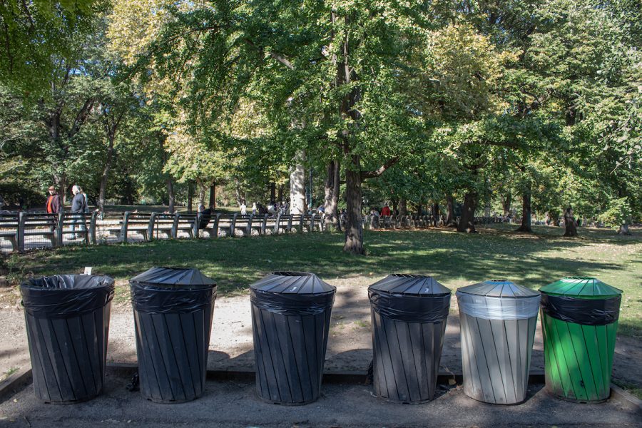 Litter in the city’s green spaces can cause groundwater contamination and increase the presence of pests. 
