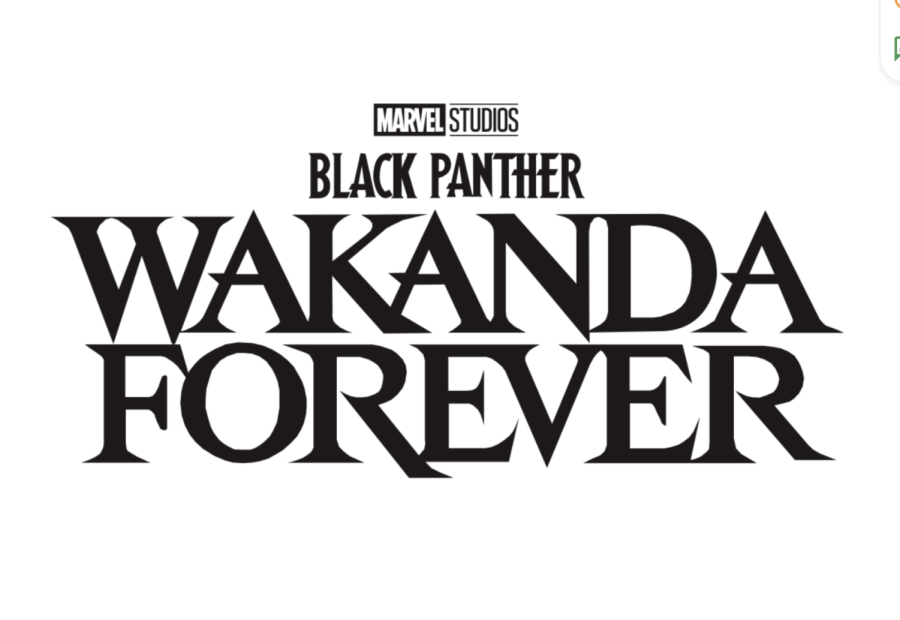 Wakanda+Forever+embraces+themes+of+losing+a+loved+one.