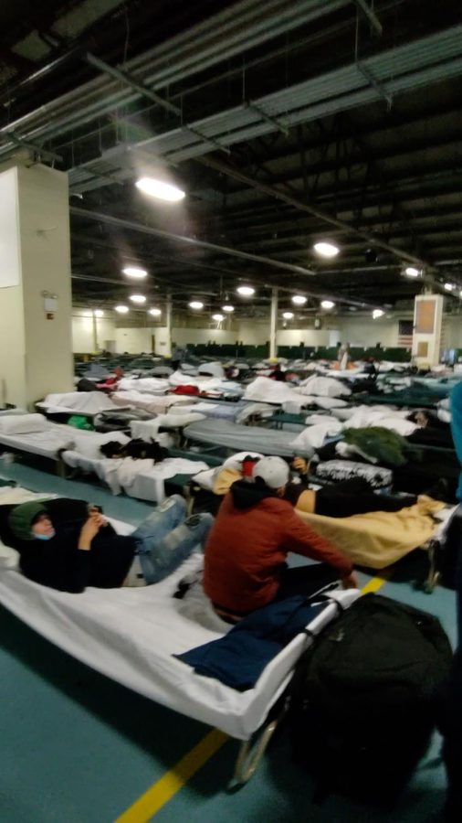 Video from inside the Brooklyn Cruise Terminal shows rows of cots lined head to head.