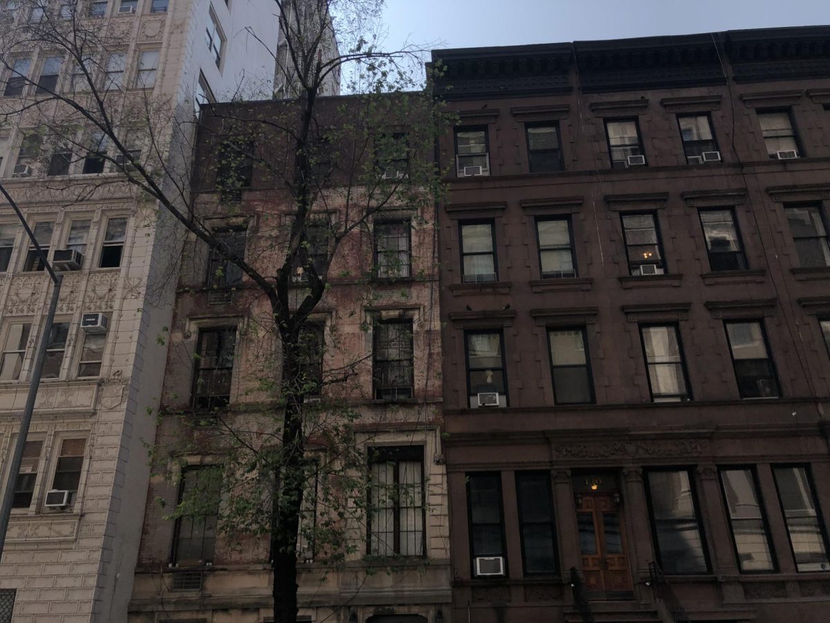 Upper West Side brownstones behind a nearly-bare tree.
