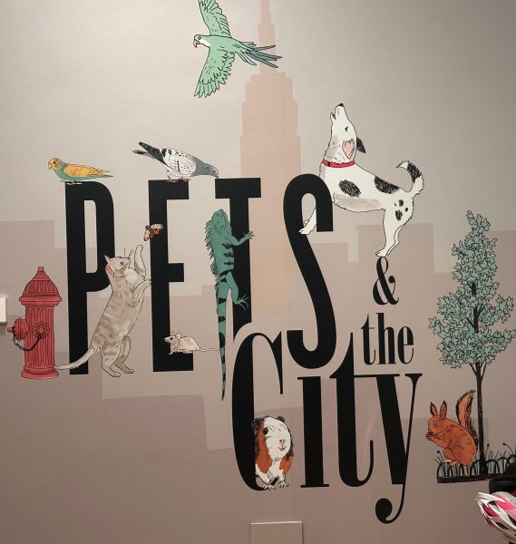 “Pets and the City” featured New York City’s pets across film, television, paintings and photography. 