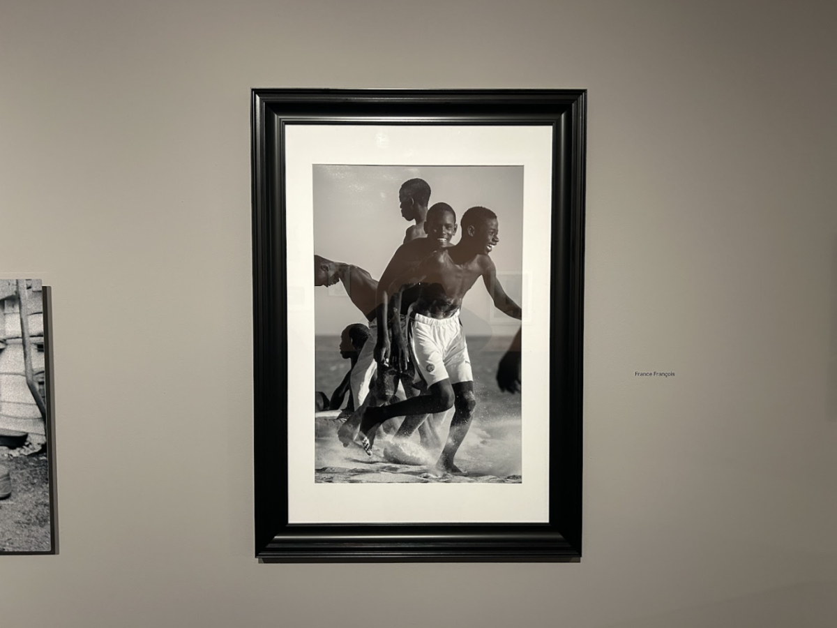 François’s photograph “Free Senegal,” is available to view at “The Brooklyn Artist’s Exhibition,” until Jan. 25, 2025.