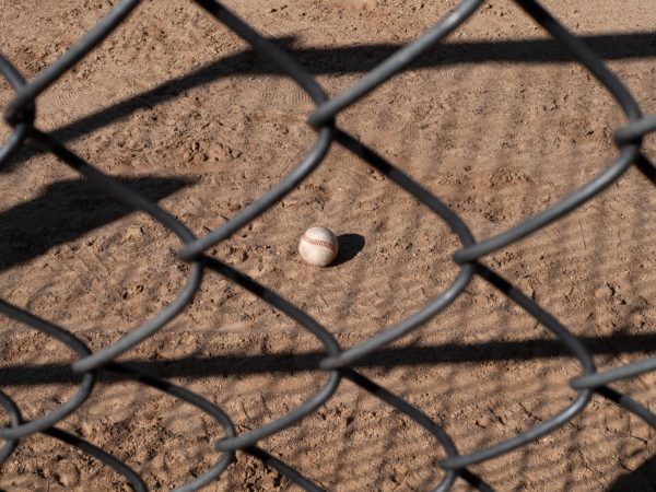 Baseball is widely considered to be “America’s Pastime”, which swings into full force with the start of spring.