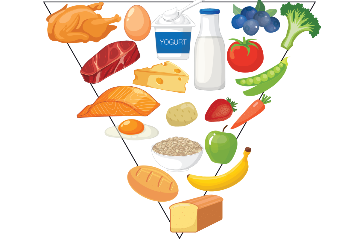 The new inverted food pyramid depicts the key food groups that the Trump administration suggests Americans include in their diets.