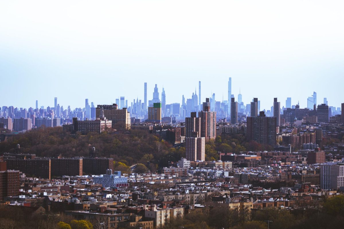 Porras Ruiz is running for a spot on the Democratic County Committee of Queens, an official political party organization for Queens Democrats.